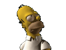 homer[1].gif (14913 bytes)